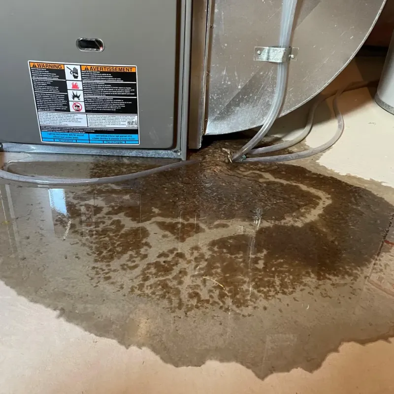 Appliance Leak Cleanup in Caledonia County, VT